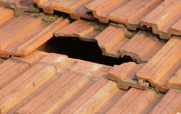 roof repair Bay
